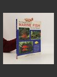 The Tropical Marine Fish Survival Manual - náhled