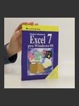 Excel 7 pro Windows 95 - náhled