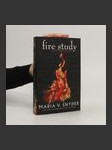 Fire study - náhled