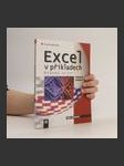Excel v příkladech: řešené úlohy - náhled