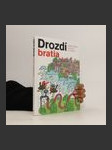 Drozdí bratia - náhled