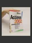 Microsoft Access 2002 : uživatelská příručka - náhled
