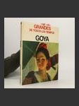 Goya - náhled