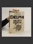 Učíme se programovat v Delphi a jazyce Object Pascal - náhled