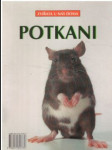 Potkani - náhled