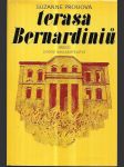 Terasa Bernardiniů - náhled