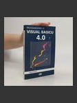 Programování ve Visual Basicu 4.0 - náhled