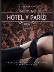 Hotel v paříži: pokoj č. 1 - náhled