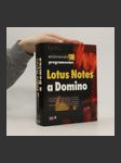 Mistrovství v programování Lotus Notes a Domino - náhled