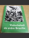 Vzducholodí do srdce Brasilie - náhled