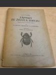 Zápisky ze života hmyzu II. O životě vrubounů a chrobáků - náhled