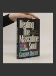 Healing the Masculine Soul - náhled