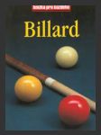 Billard - náhled