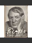 Picasso a jeho přátelé (Pablo Picasso, biografie, kubismus, avantgarda) - náhled