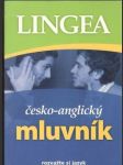 Česko-anglický mluvník Lingea  - náhled