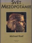 Svět Mezopotámie - náhled