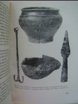 Archeologické rozhledy, roč. VIII., sešit 6 - náhled
