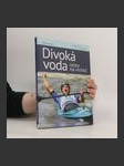 Divoká voda - cesta na vrchol - náhled