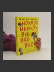 Horrid Henry's Big Bad Book - náhled