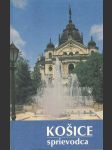 Košice sprievodca - náhled