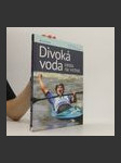 Divoká voda - cesta na vrchol - náhled