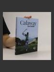 Calaway - náhled