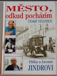 Město, odkud pocházím: České Velenice - náhled