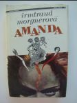Amanda - čarodějničí román - 2. díl Salmanovské trilogie - náhled
