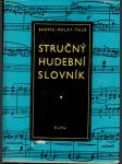 Stručný hudební slovník - náhled