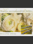 Kouzlo instrumentální hudby - Kouzelná flétna 3 CD - náhled