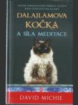 Dalajlamova kočka a síla meditace - náhled