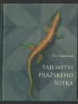 Tajemství pražského šotka - náhled