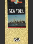 New york - turistický průvodce - náhled