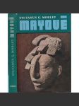Mayové [starověká civilizace, archeologie, Střední Amerika, dnešní Mexiko] - náhled
