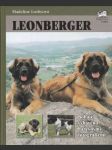 Leonberger - náhled
