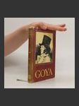 Goya čiže krutá cesta poznania - náhled