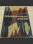 Československé jeskyně - náhled
