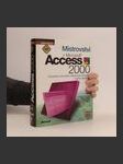 Mistrovství v Microsoft Access 2000 - náhled