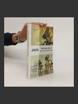 Java : Wayang Kulit - göttliche Schatten - náhled