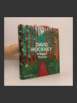 David Hockney: A Bigger Picture - náhled