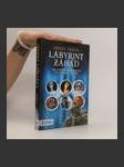 Labyrint záhad : největší tajemství Čech, Moravy a Slezska - náhled