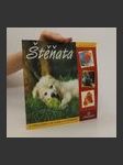 Štěňata : kniha o zvířátkách k prohlížení, ke čtení a k vyrábění - náhled