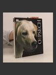Velká kniha o psech - náhled