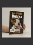 Ze života Bulíka - náhled