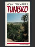 Tunisko - malý průvodce - náhled