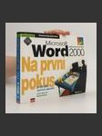 Microsoft Word 2000 - Na první pokus - náhled