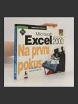 Microsoft Excel 2000 - Na první pokus - náhled