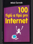 100 fíglů a tipů pro internet - náhled