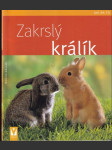 Náš zakrslý králík - náhled