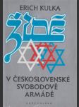 Židé v československé Svobodově armádě - náhled